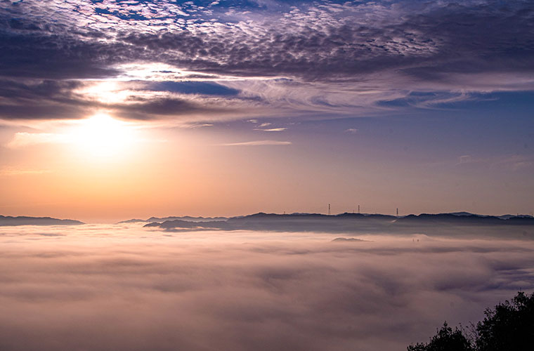 佐用町 大撫山・朝霧