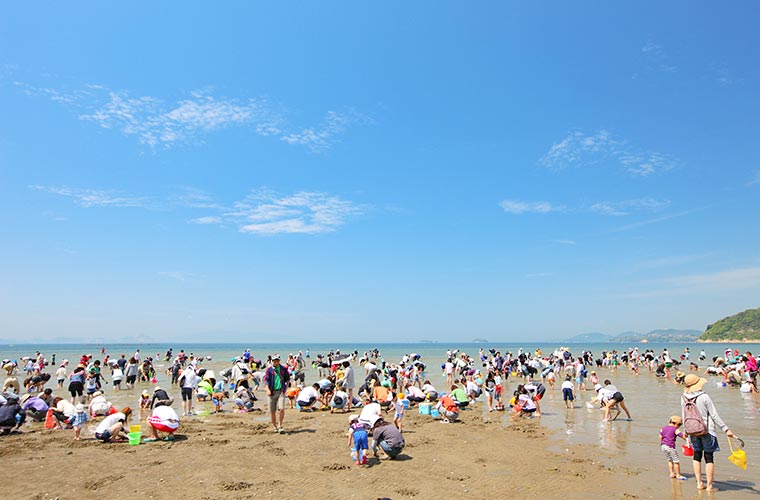 たつの市 潮干狩り